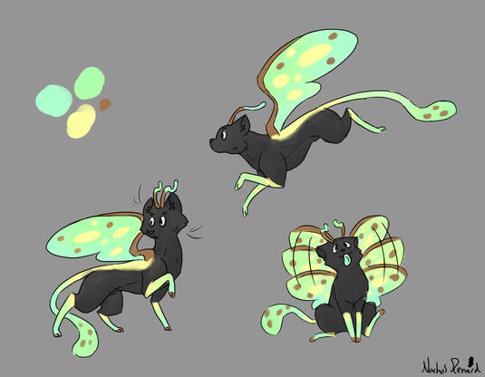 Pixie Cat - Luna Moth