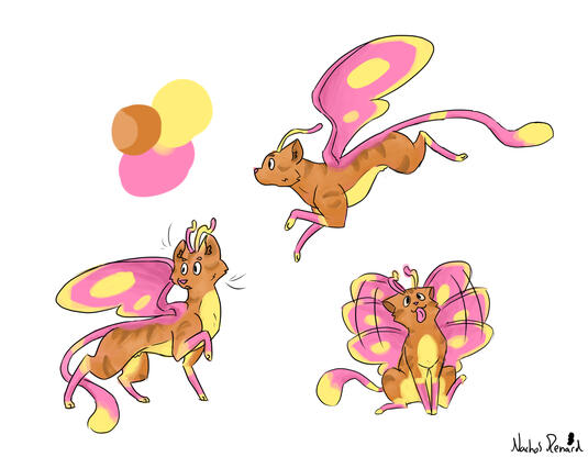 Pixie Cat - Rosy Maple Moth